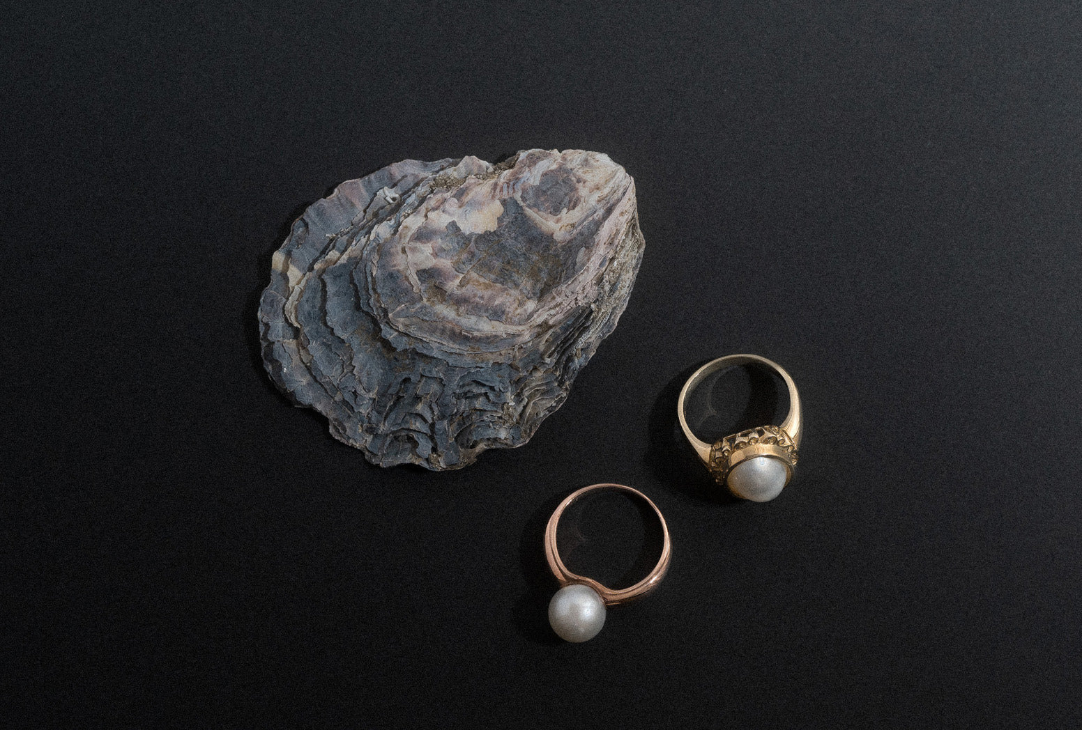Mabe and freshwater pearl rings set in 9k yellow and rose gold on a black background with an oyster shell.