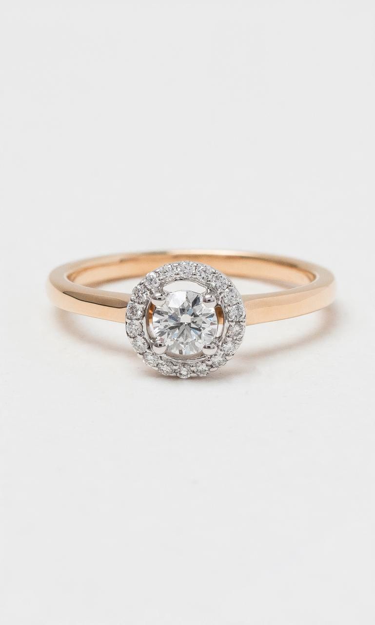 2024 © Hogans Family Jewellers 18K RWG Round Brilliant Diamond Halo Ring