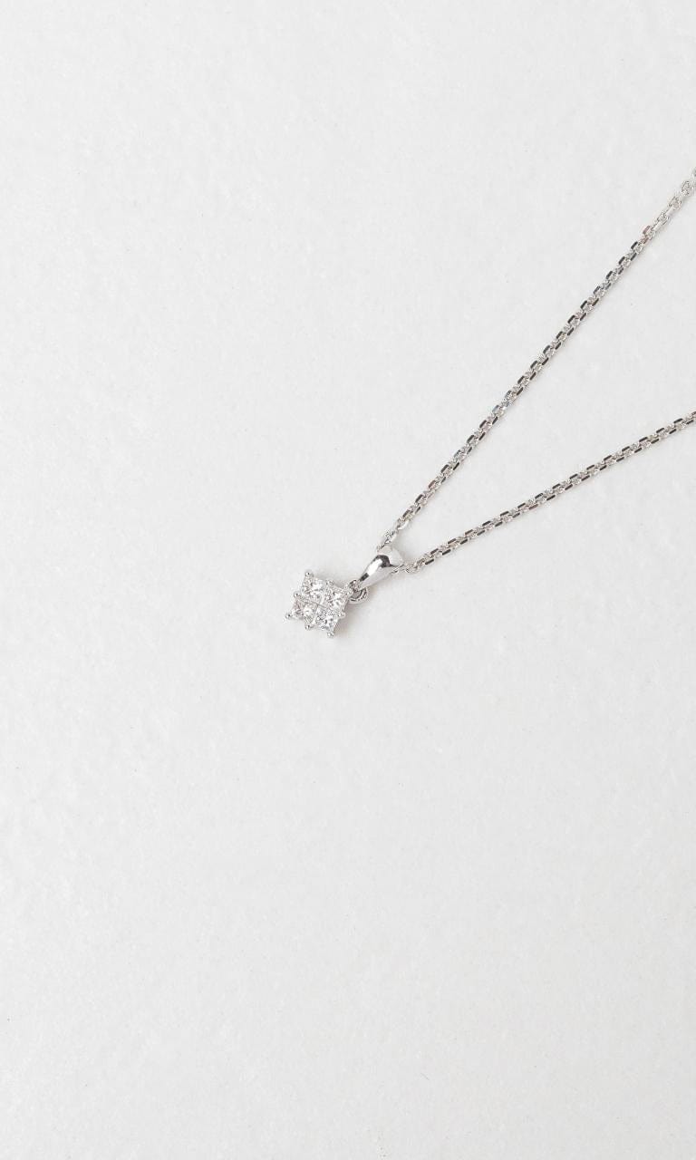 2024 © Hogans Family Jewellers 18K WG Claw Set Diamond Pendant