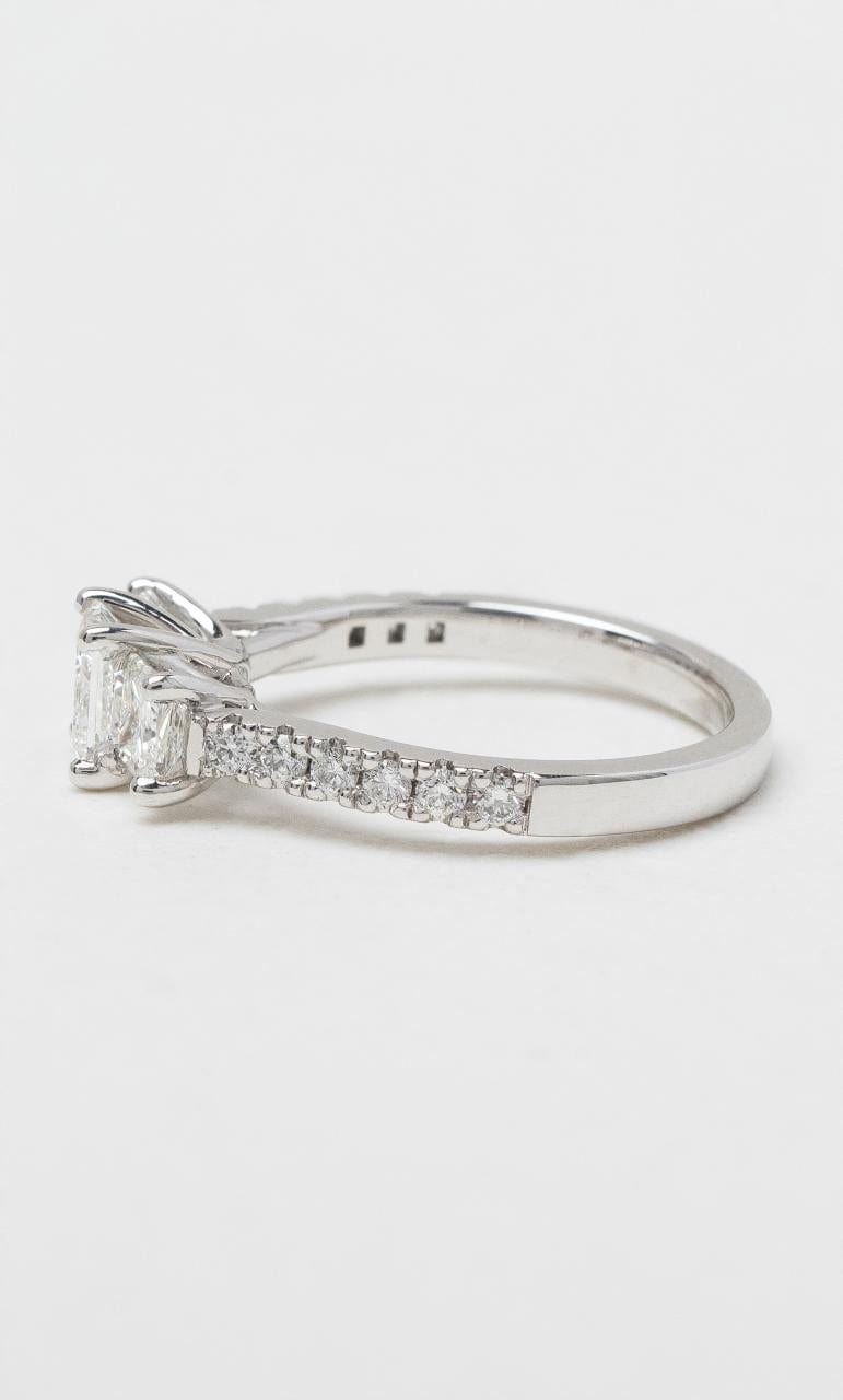 2024 © Hogans Family Jewellers 18K WG Princess Cut Diamond Trilogy Ring