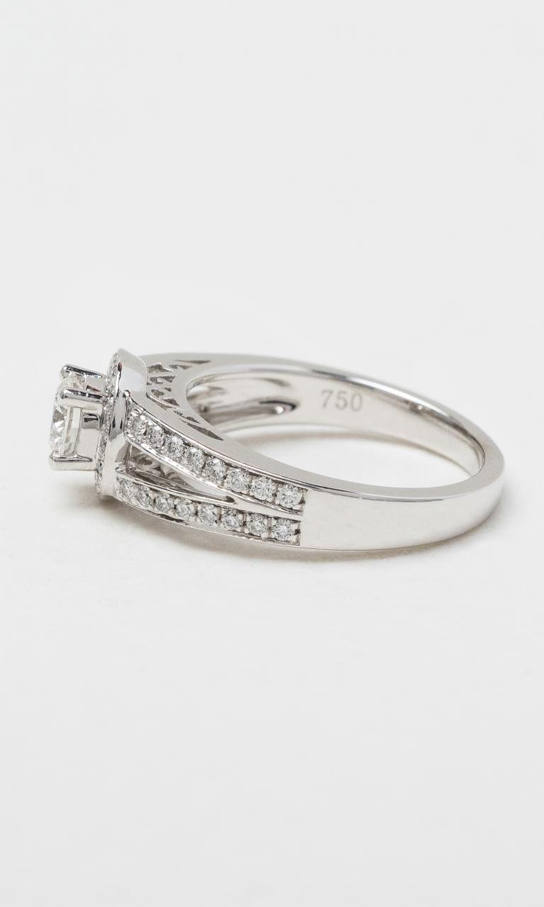 2024 © Hogans Family Jewellers 18K WG Round Brilliant Diamond Halo Style Ring