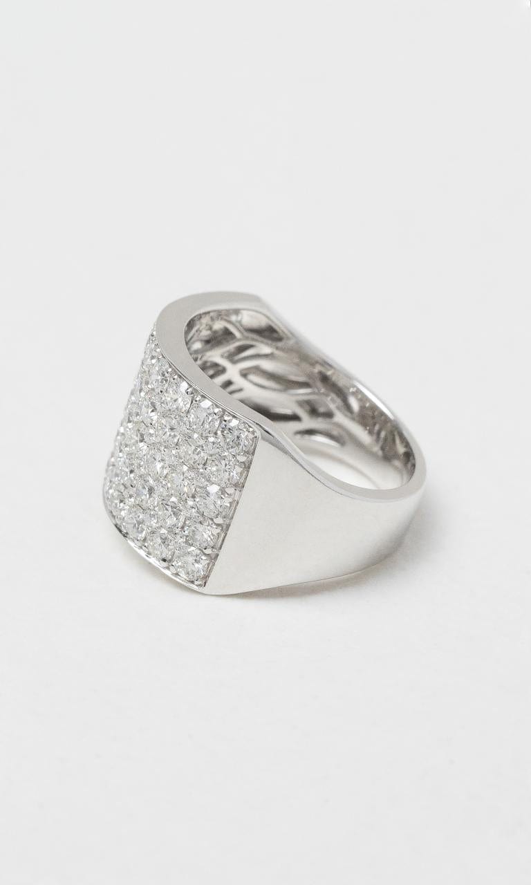 2024 © Hogans Family Jewellers 18K WG Round Brilliant Diamond Wide Band