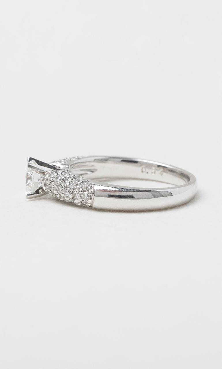 2024 © Hogans Family Jewellers 18K WG Solitaire Round Brilliant Diamond Ring