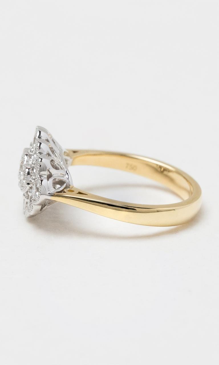2024 © Hogans Family Jewellers 18K YWG Diamond Dress Ring
