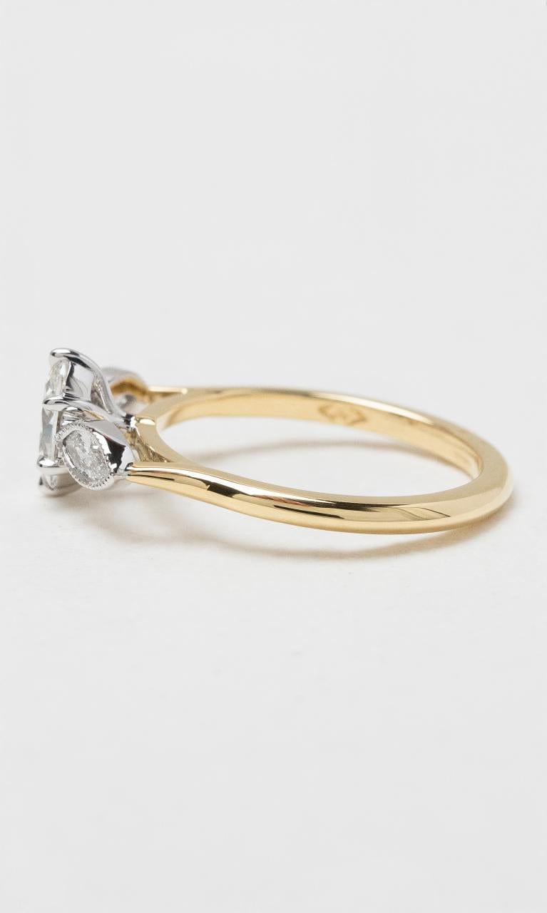 2024 © Hogans Family Jewellers 18K YWG Oval Cut Diamond Trilogy Ring