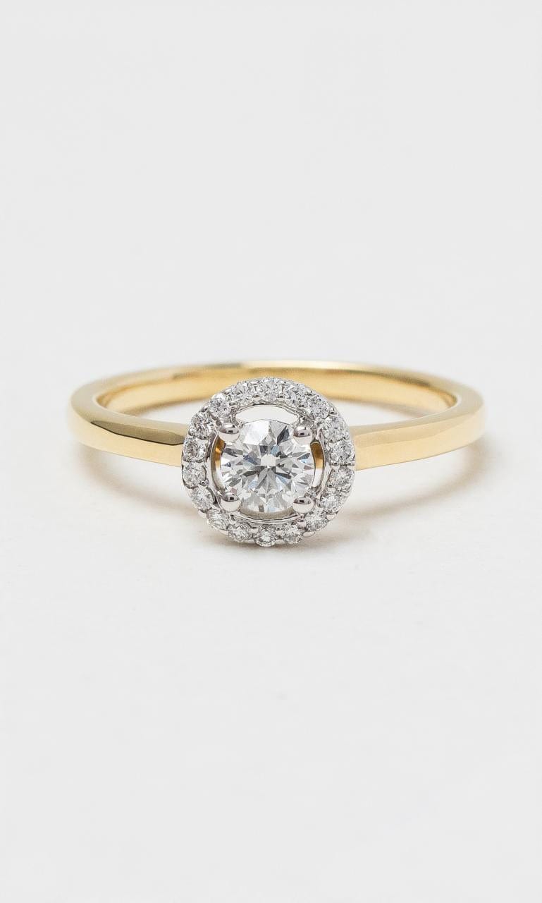 2024 © Hogans Family Jewellers 18K YWG Round Brilliant Diamond Halo Ring