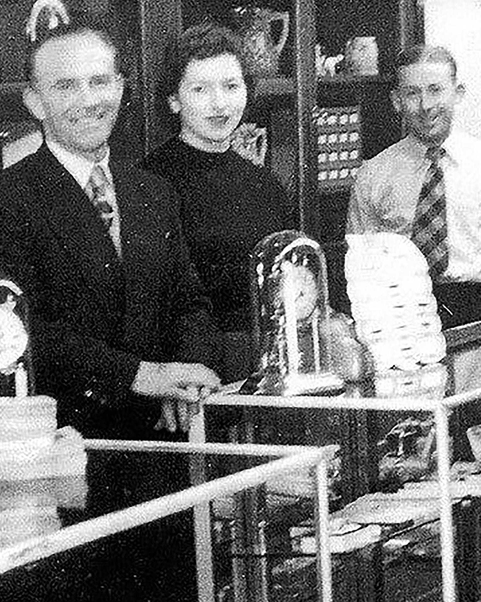 Founders, Jack and Madeleine Hogan, of Hogans Family Jewellers with employee standing behind jewellery shop counter.