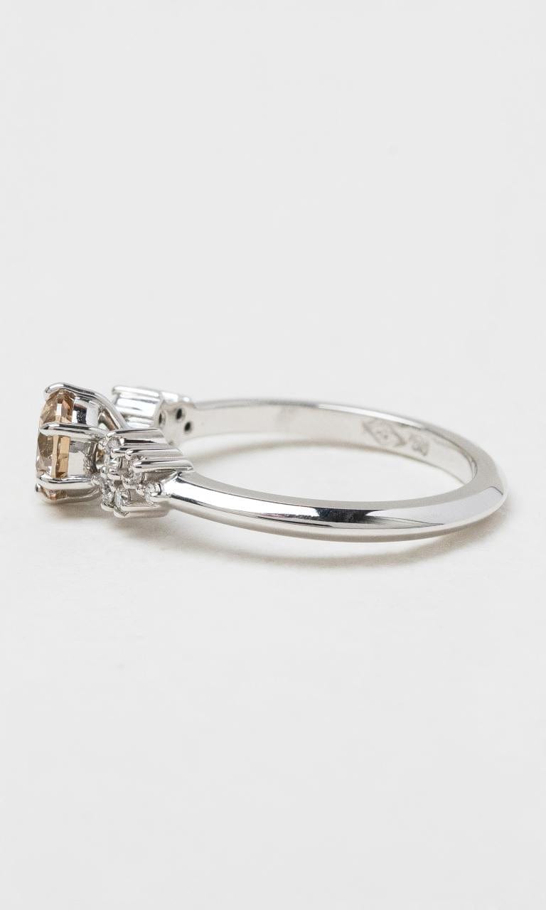 Hogans Family Jewellers 18K WG Champagne Diamond Ring