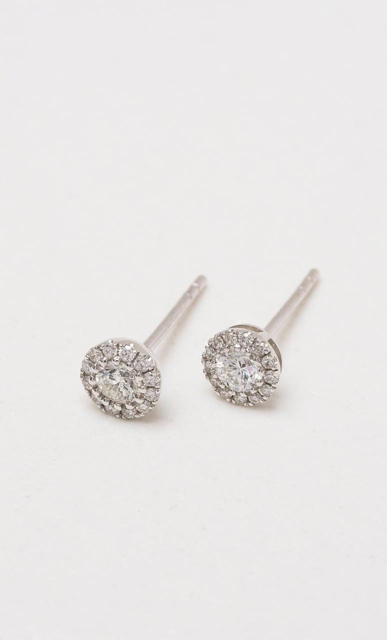 Hogans Family Jewellers 18K WG Diamond Cluster Stud Earrings