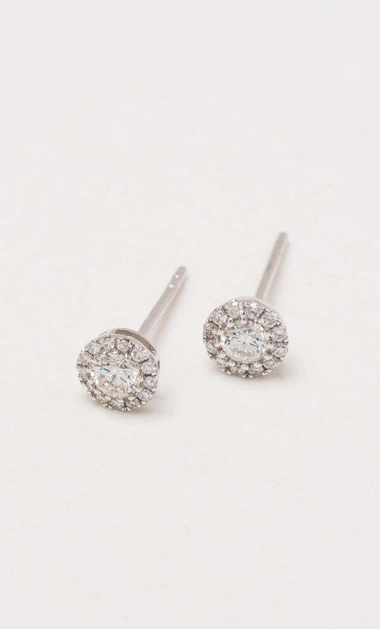 Hogans Family Jewellers 18K WG Diamond Cluster Stud Earrings