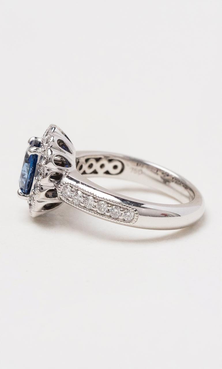 Hogans Family Jewellers 18K WG Oval Cut Ceylon Sapphire Halo Style Ring