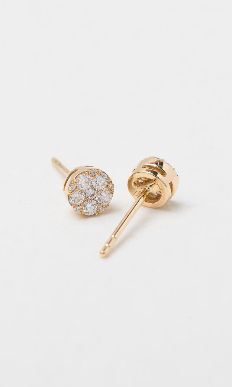 Hogans Family Jewellers 18K YG 0.34ct TDW Round Brilliant Cut Diamond Cluster Stud Earrings