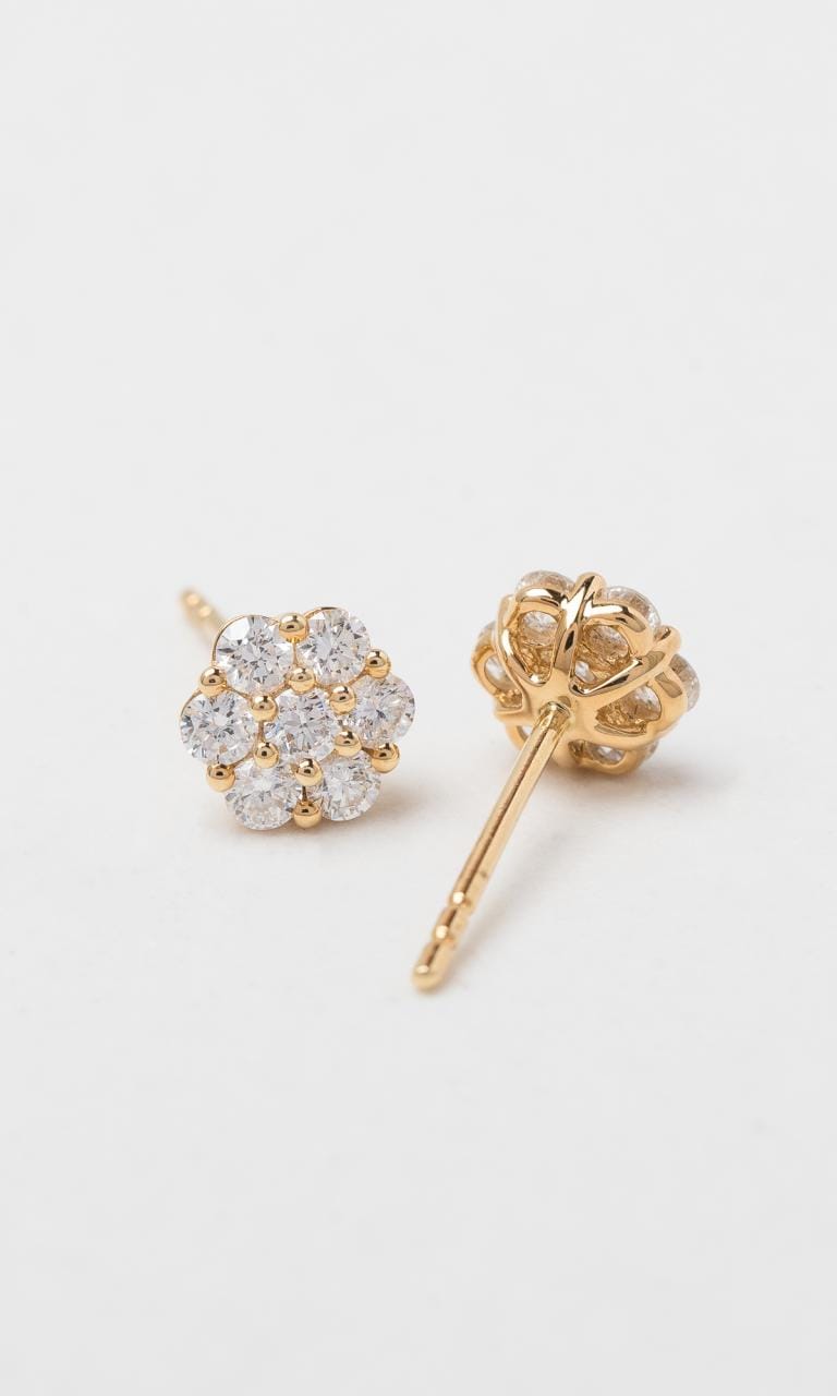 Hogans Family Jewellers 18K YG 0.72ct TDW Round Brilliant Cut Diamond Cluster Stud Earrings