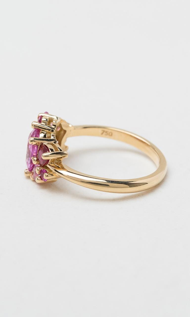 Hogans Family Jewellers 18K YG Multi-Coloured Gemstone Dress Ring