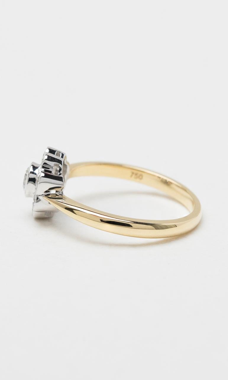 Hogans Family Jewellers 18K YWG 0.50ct TDW TDW Round Brilliant Diamond Floral Ring