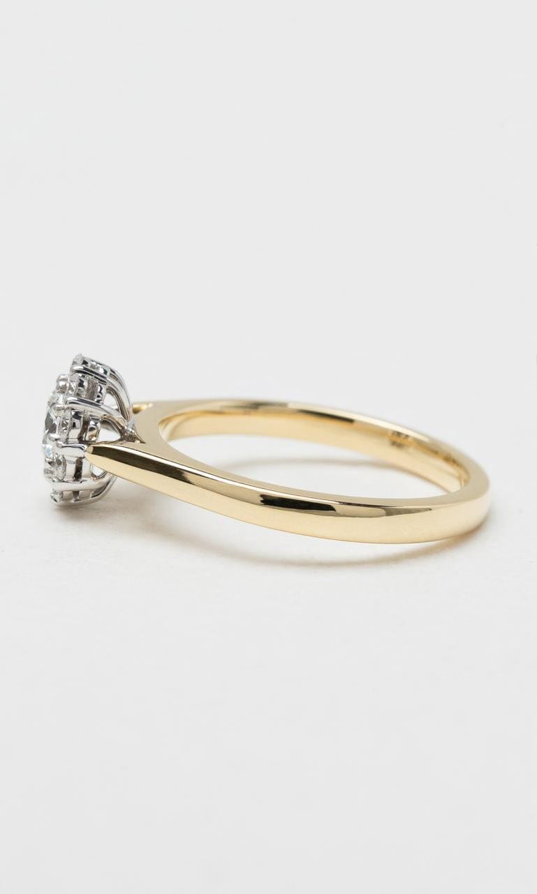 Hogans Family Jewellers 18K YWG 0.80ct TDW Round Brilliant Diamond Halo Ring