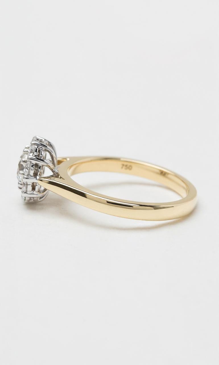Hogans Family Jewellers 18K YWG 1.15ct TDW Round Brilliant Diamond Halo Ring