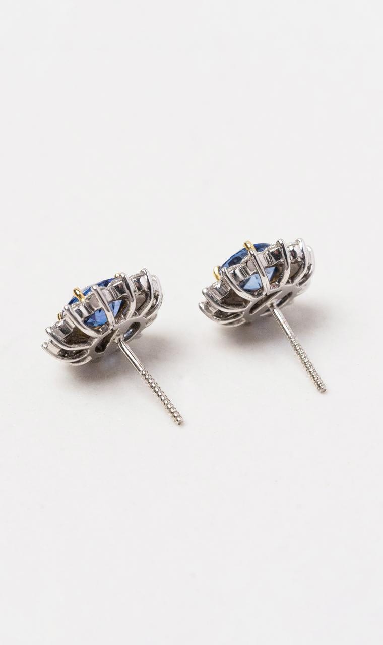 Hogans Family Jewellers 18K YWG Ceylon Sapphire Earrings
