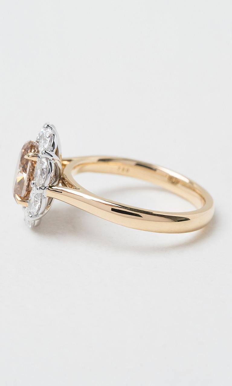 Hogans Family Jewellers 18K YWG Oval Cut Champagne Diamond Halo Ring