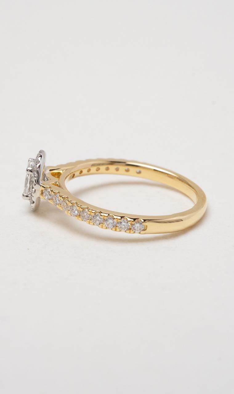 Hogans Family Jewellers 18K YWG Oval Halo Diamond Ring