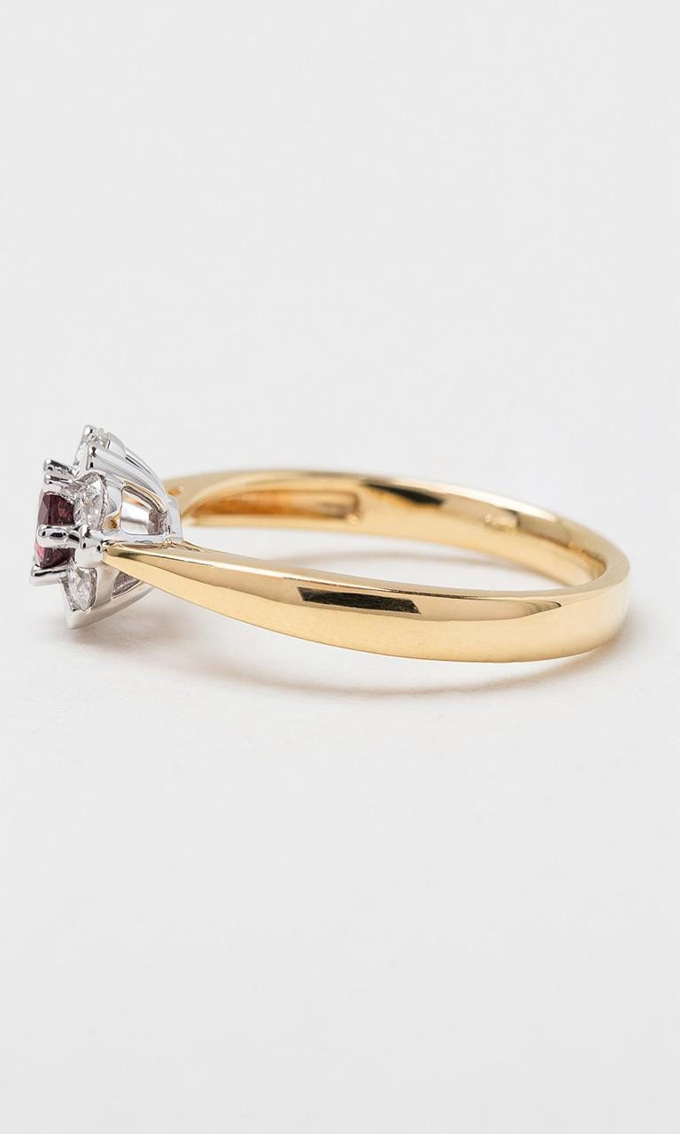 Hogans Family Jewellers 18K YWG Round Brilliant Cut Ruby Halo Ring