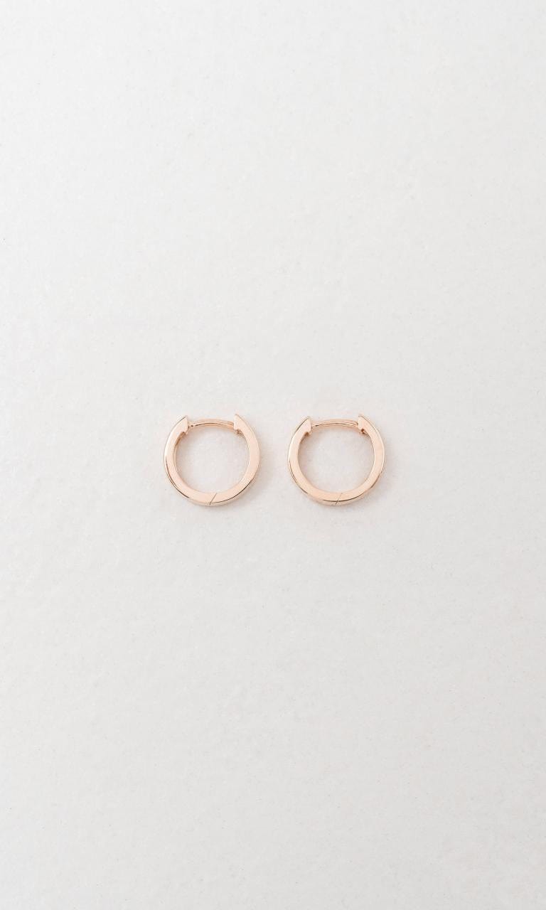 Hogans Family Jewellers 9K RG 9mm Huggie Earrings