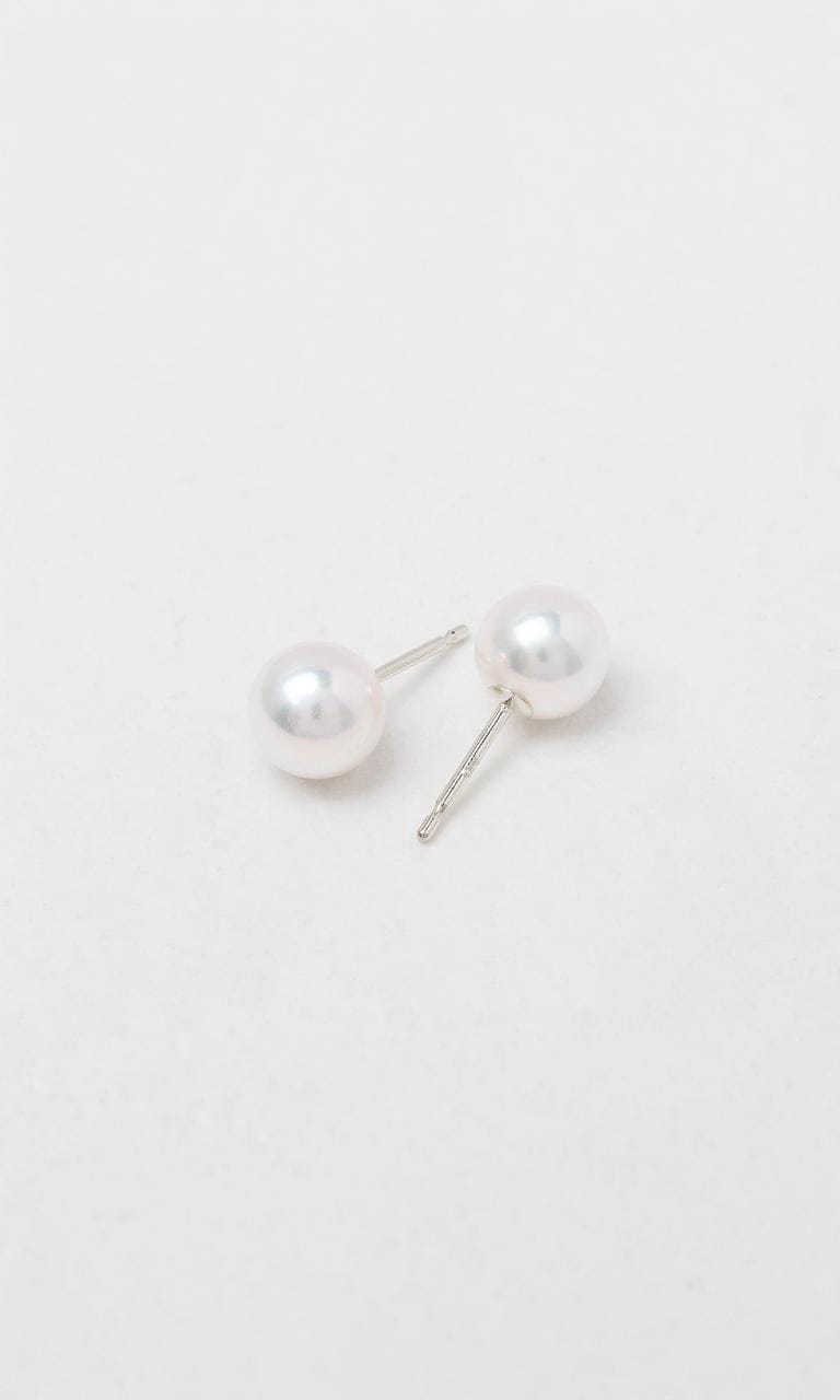 Hogans Family Jewellers 9K WG 7.5-8mm Akoya Pearl Stud Earrings