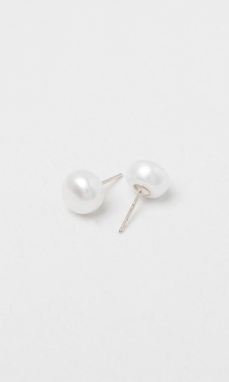 Hogans Family Jewellers 9K WG 7.5-8mm Freshwater Pearl Button Stud Earrings