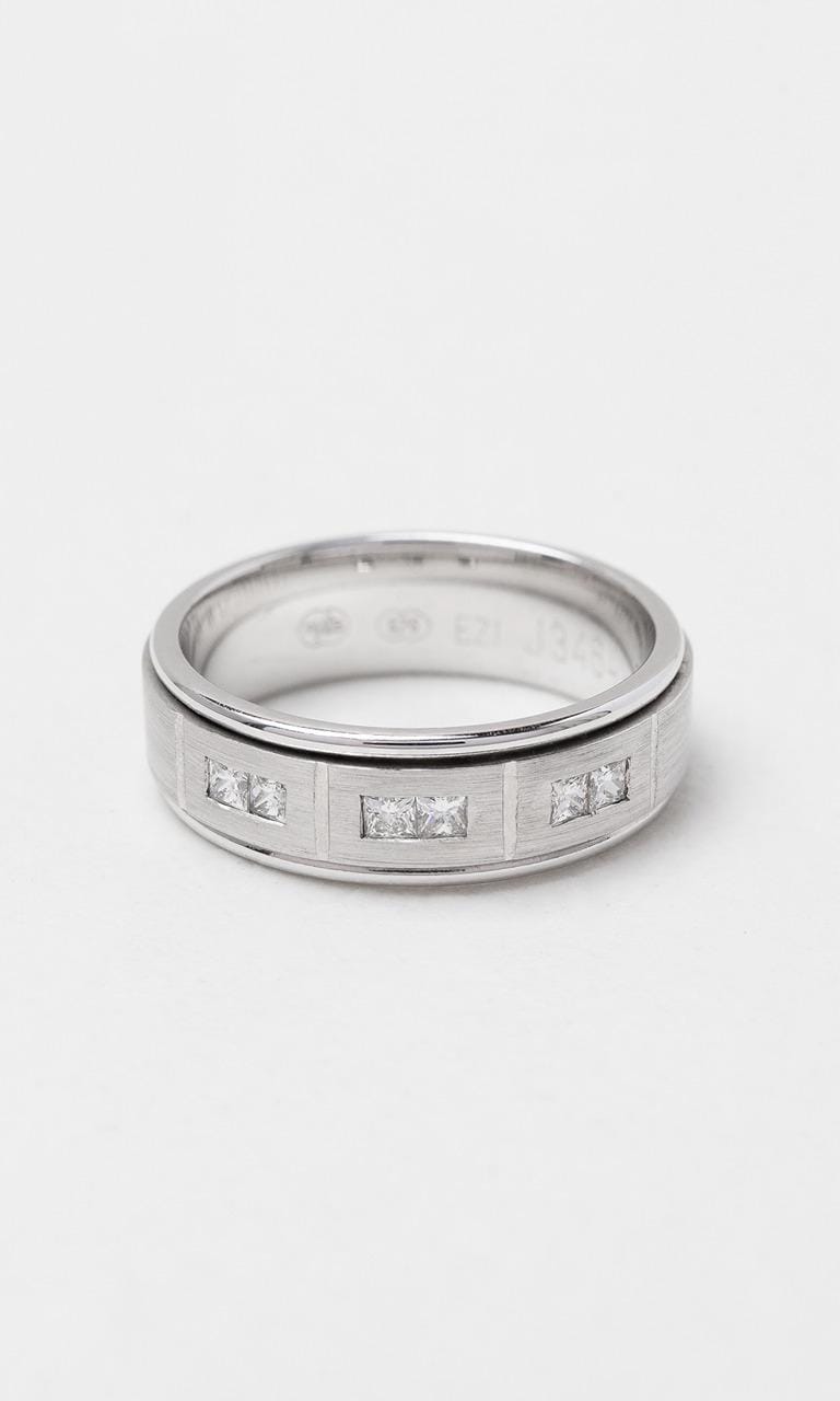 Hogans Family Jewellers 9K WG Princess Cut Diamond Gents Band