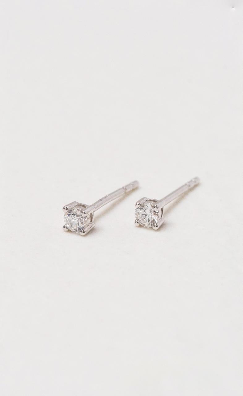 Hogans Family Jewellers 9K WG Solitaire Diamond Stud Earrings