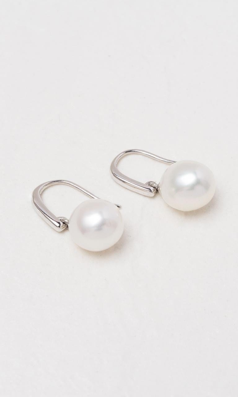 Hogans Family Jewellers 9K WG South Sea Pearl Drop Earrings