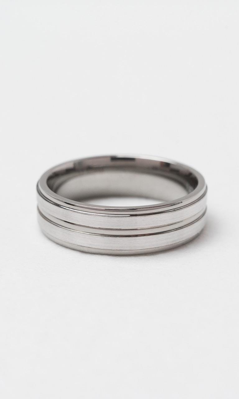 Hogans Family Jewellers 9K WG & Titanium 6.5mm Gents Band