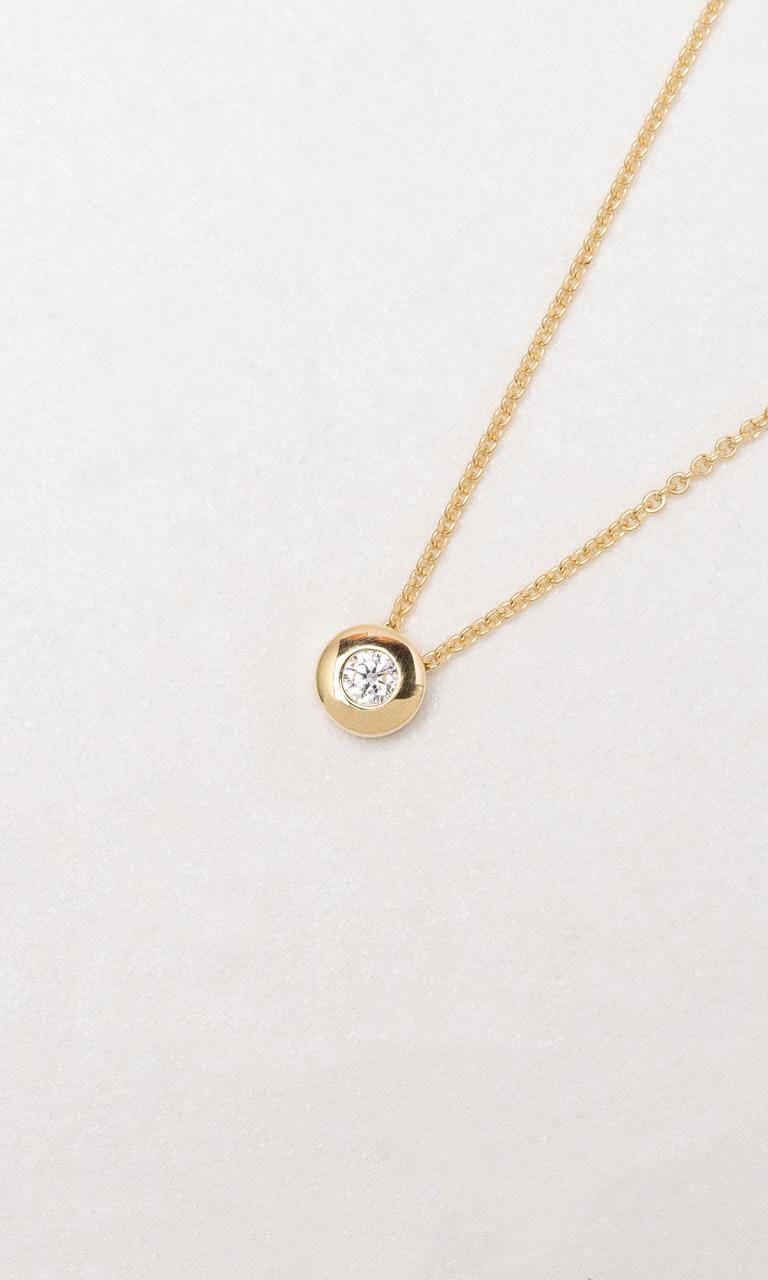 Hogans Family Jewellers 9K YG 0.052ct Round Brilliant Cut Diamond Bezel Set Necklace