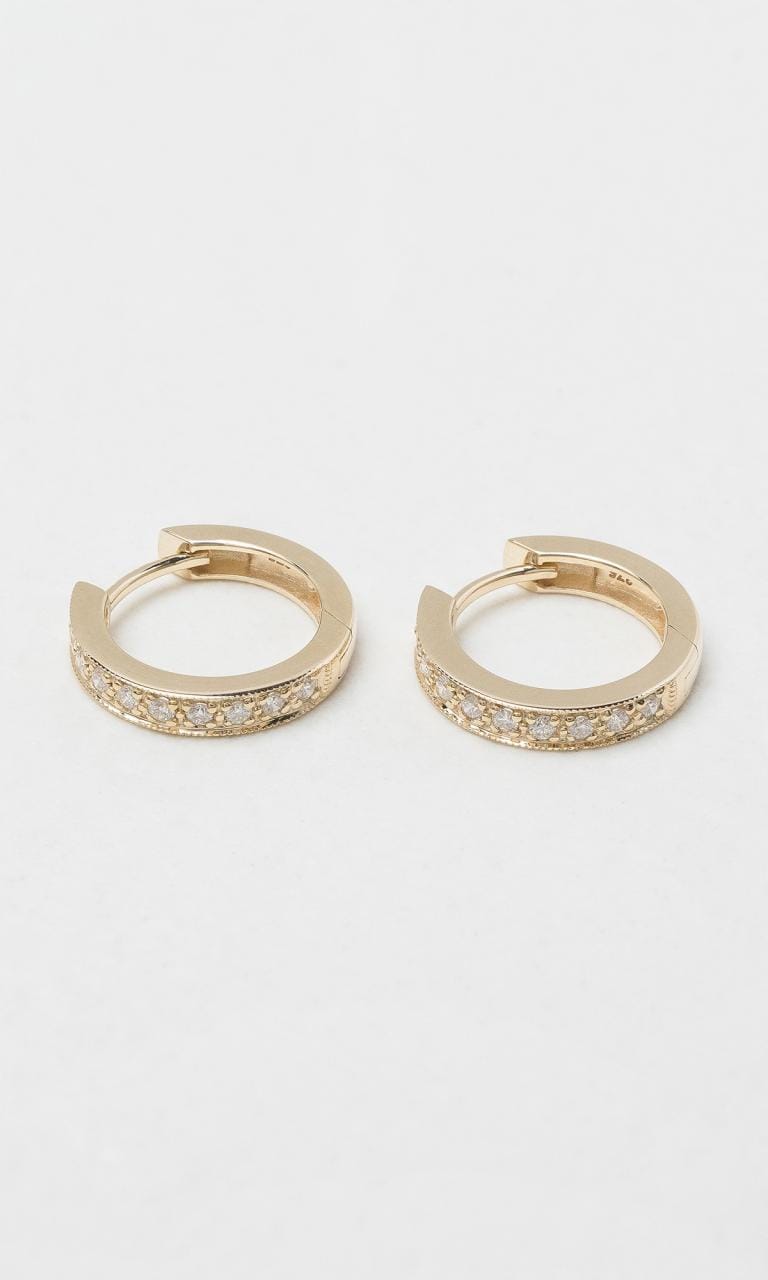 Hogans Family Jewellers 9K YG 0.25ct TDW Round Brilliant Cut Diamond Huggie Earrings