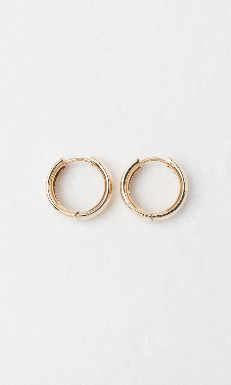 Hogans Family Jewellers 9K YG 10mm Huggie Earrings