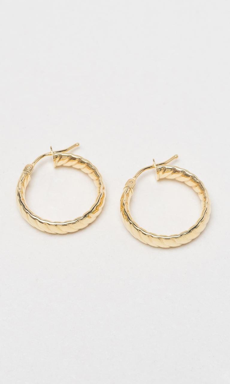 Hogans Family Jewellers 9K YG Fine Twist Hoop Earrings