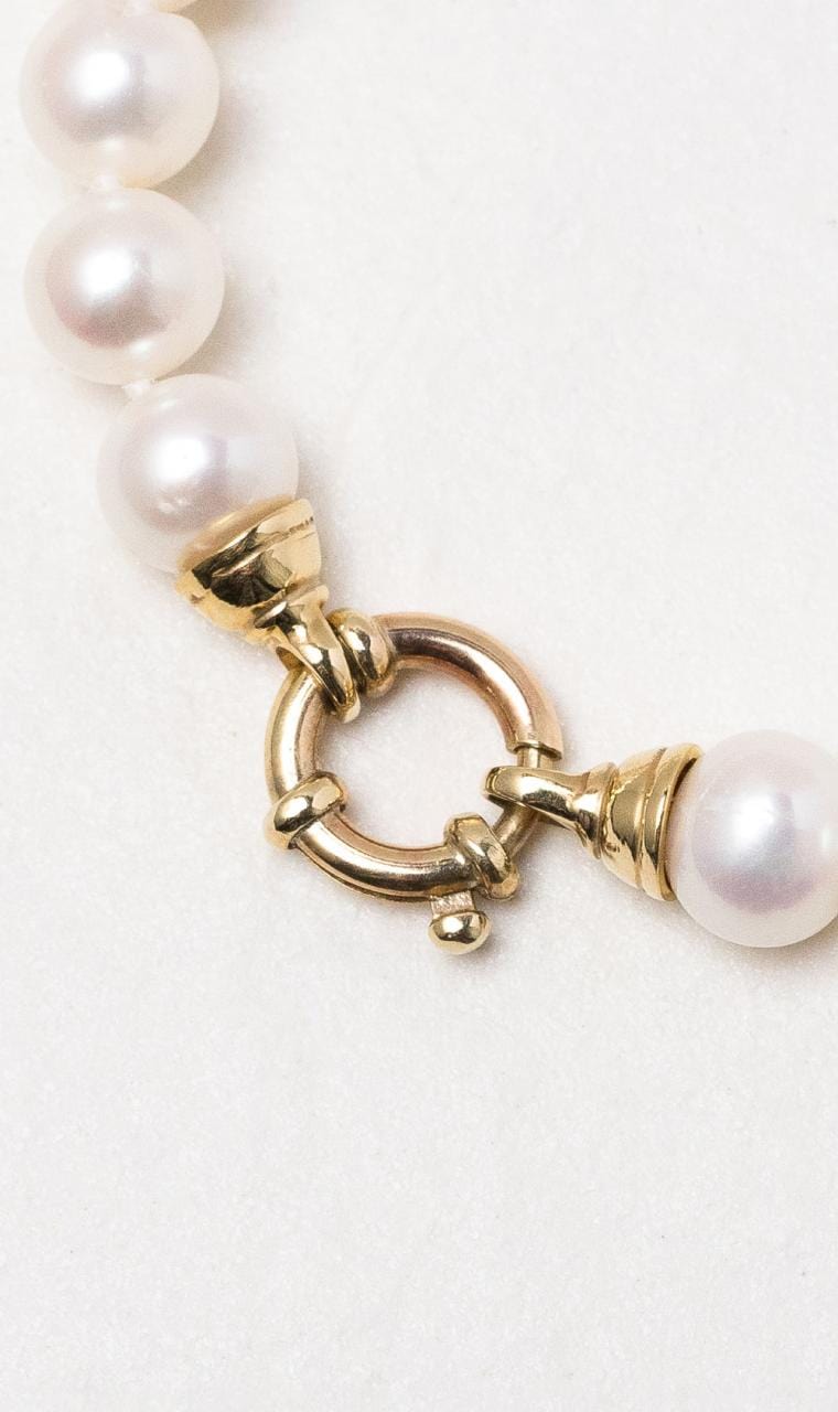 Hogans Family Jewellers 9K YG Freshwater Pearl Necklace with Euro Bolt Clasp