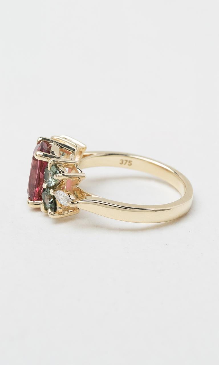 Hogans Family Jewellers 9K YG Multi-Coloured Gemstone Dress Ring