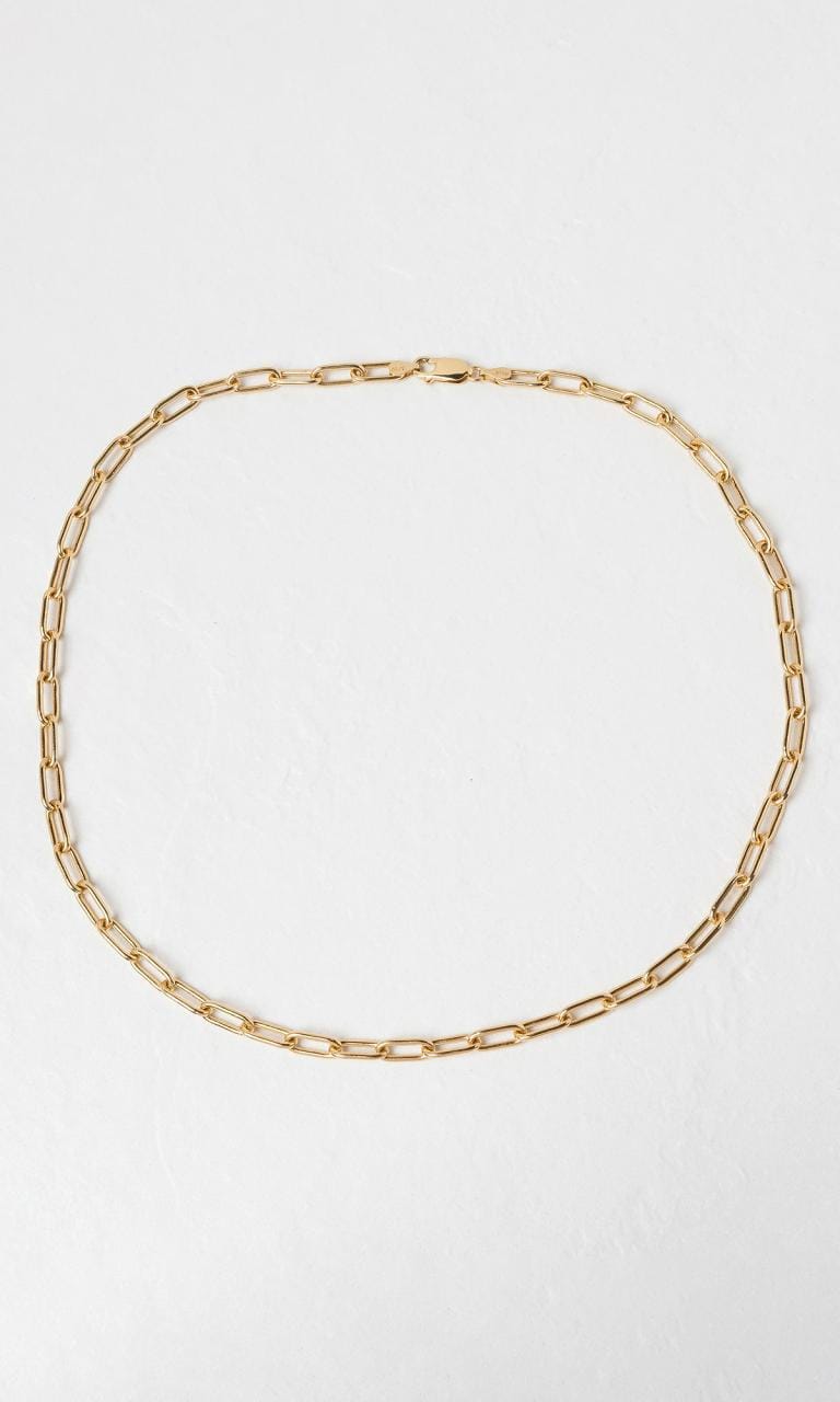 Hogans Family Jewellers 9K YG Paperclip Chain Necklace