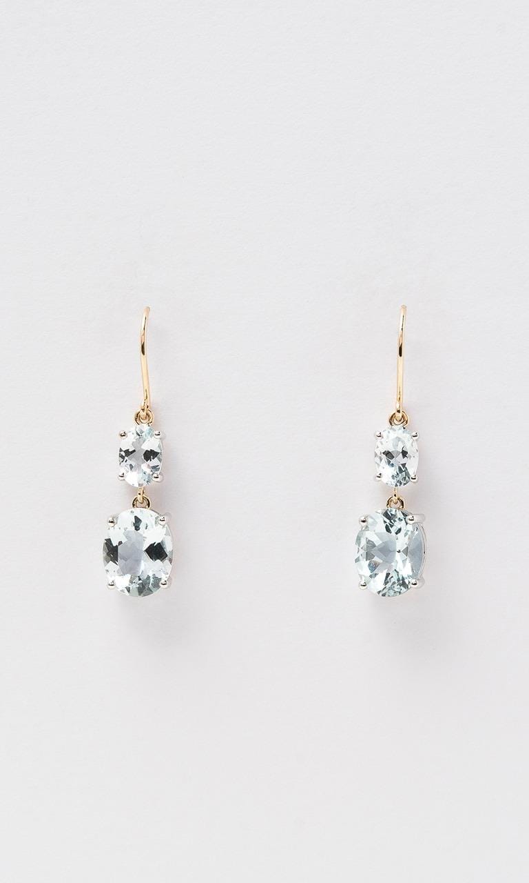 Hogans Family Jewellers 9K YWG Oval Cut Aquamarine Drop Earrings