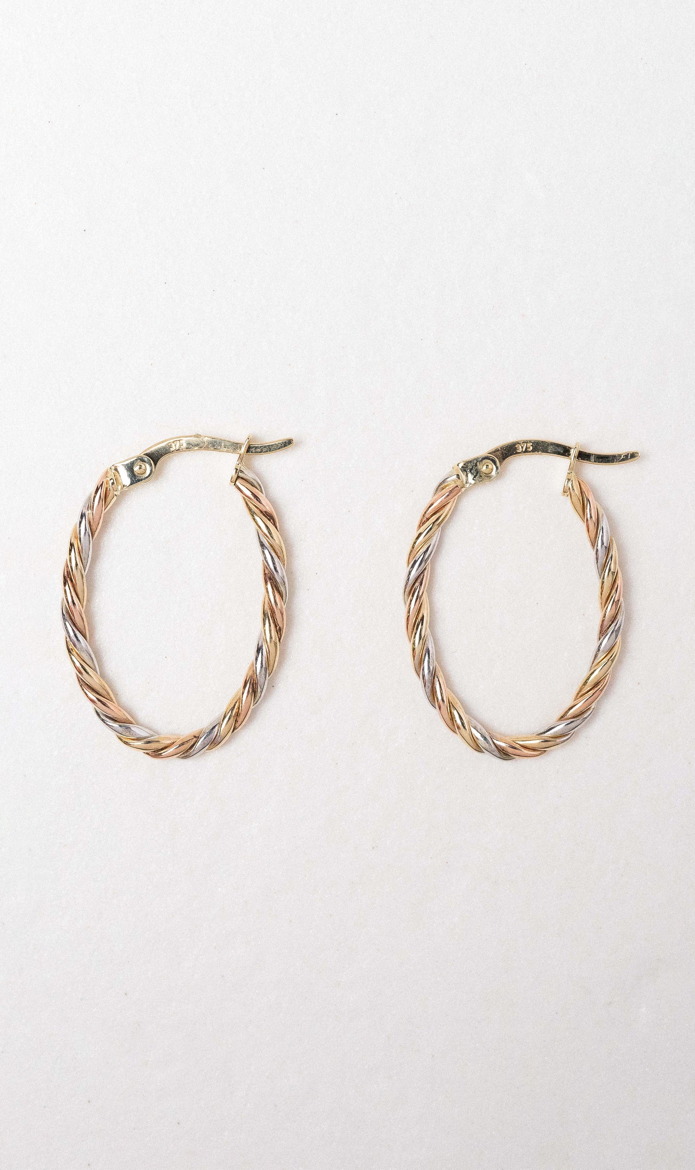Hogans Family Jewellers 9K YWRG Twist Hoop Earrings