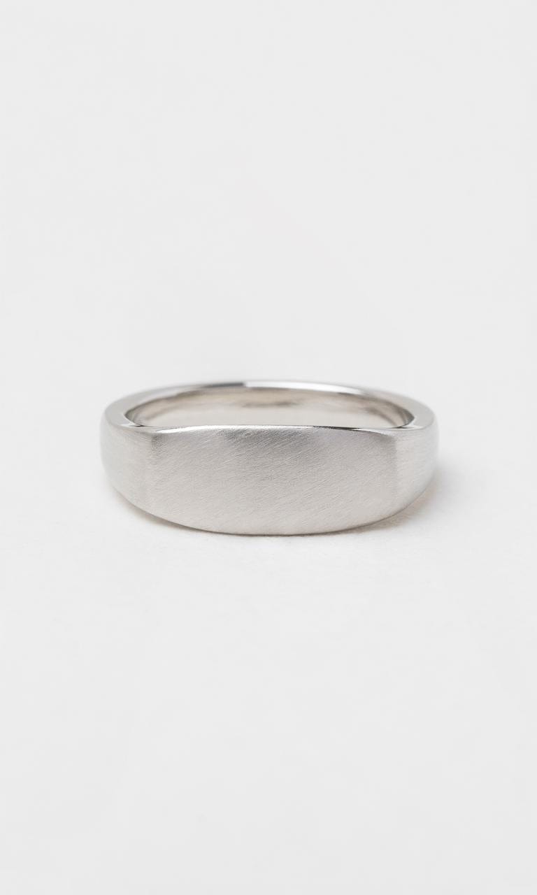 Hogans Family Jewellers Platinum Signet Style Gents Ring
