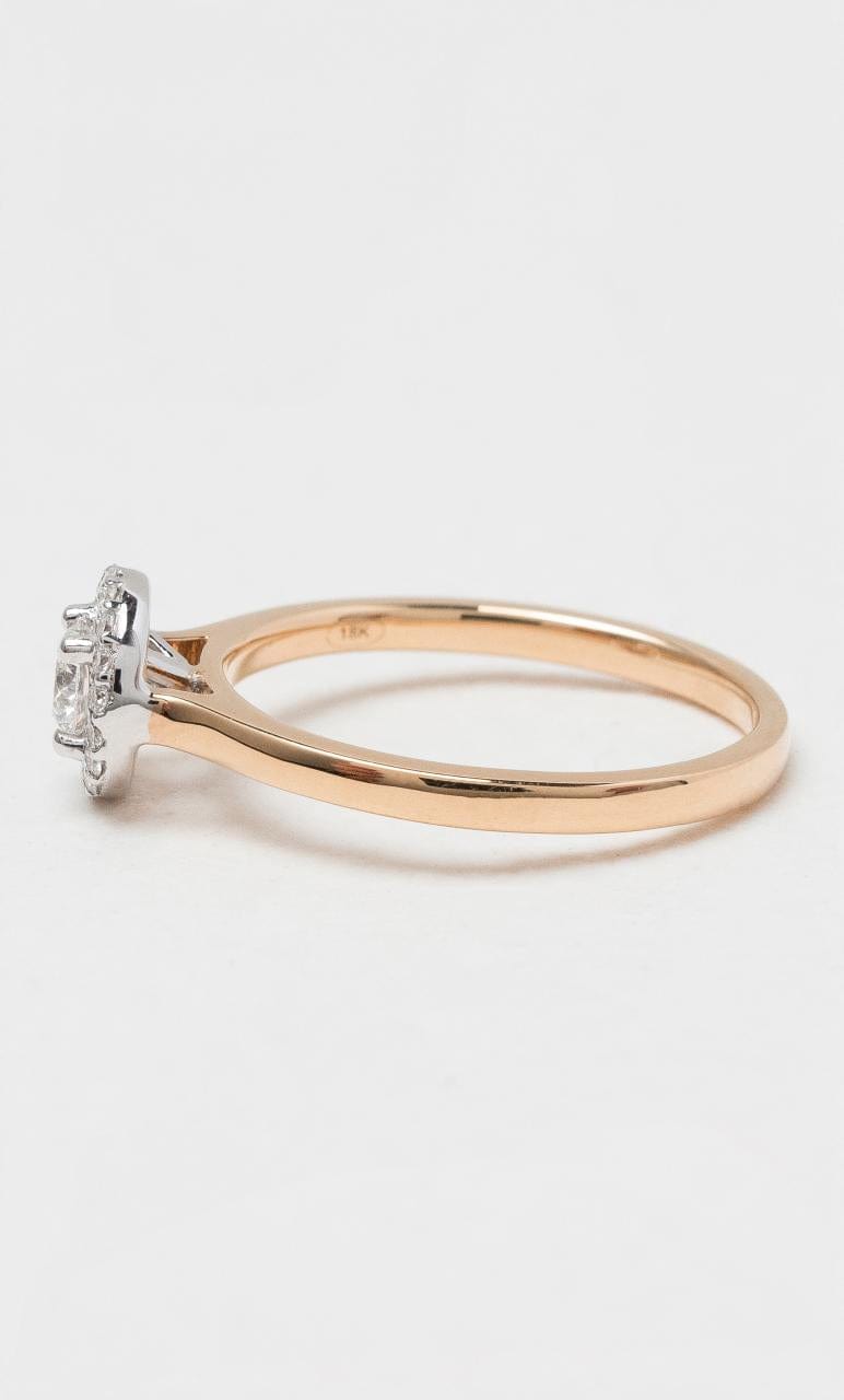 2024 © Hogans Family Jewellers 18K RWG Round Brilliant Diamond Halo Ring