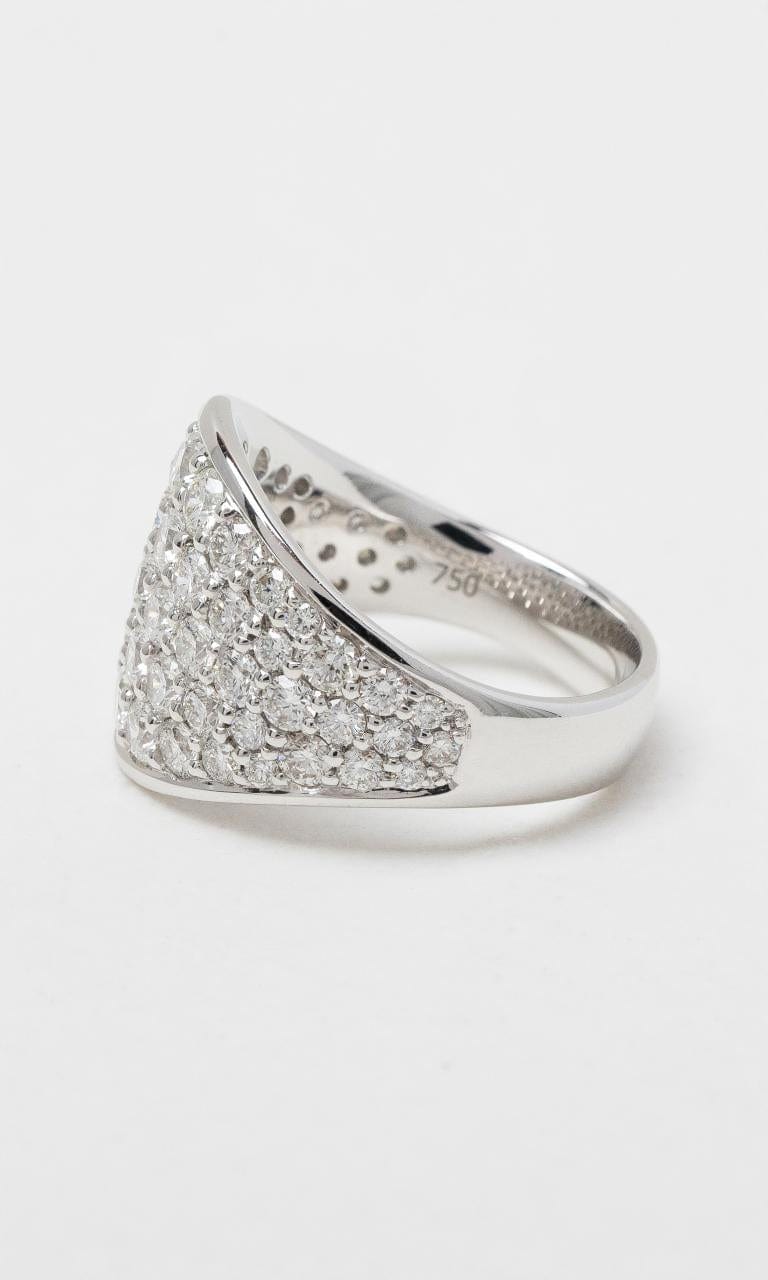 2024 © Hogans Family Jewellers 18K WG Round Brilliant Diamond Set Wide Dress Ring