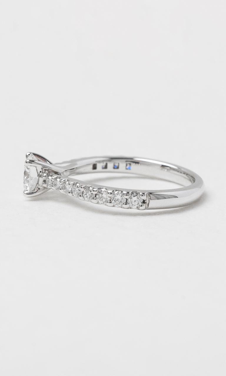 2024 © Hogans Family Jewellers 18K WG Round Brilliant Solitaire Diamond Ring