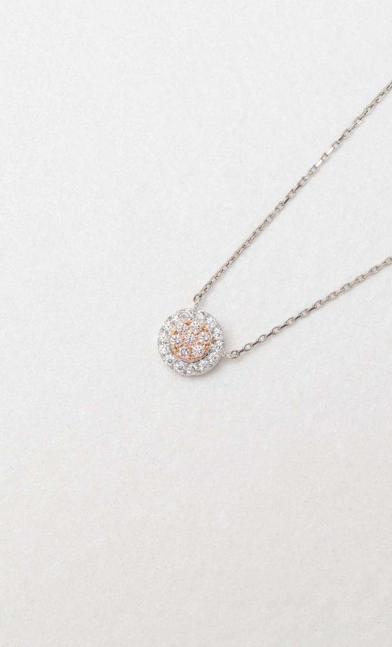 H/W HAGIRE NECKLACE / ASSORT main image 1