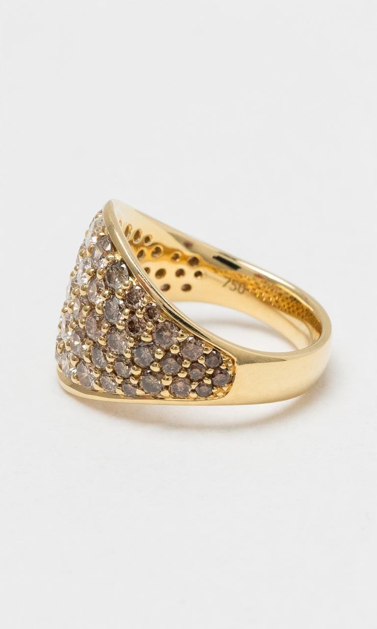 2024 © Hogans Family Jewellers 18K YG Champagne & White Diamond Wide Dress Ring