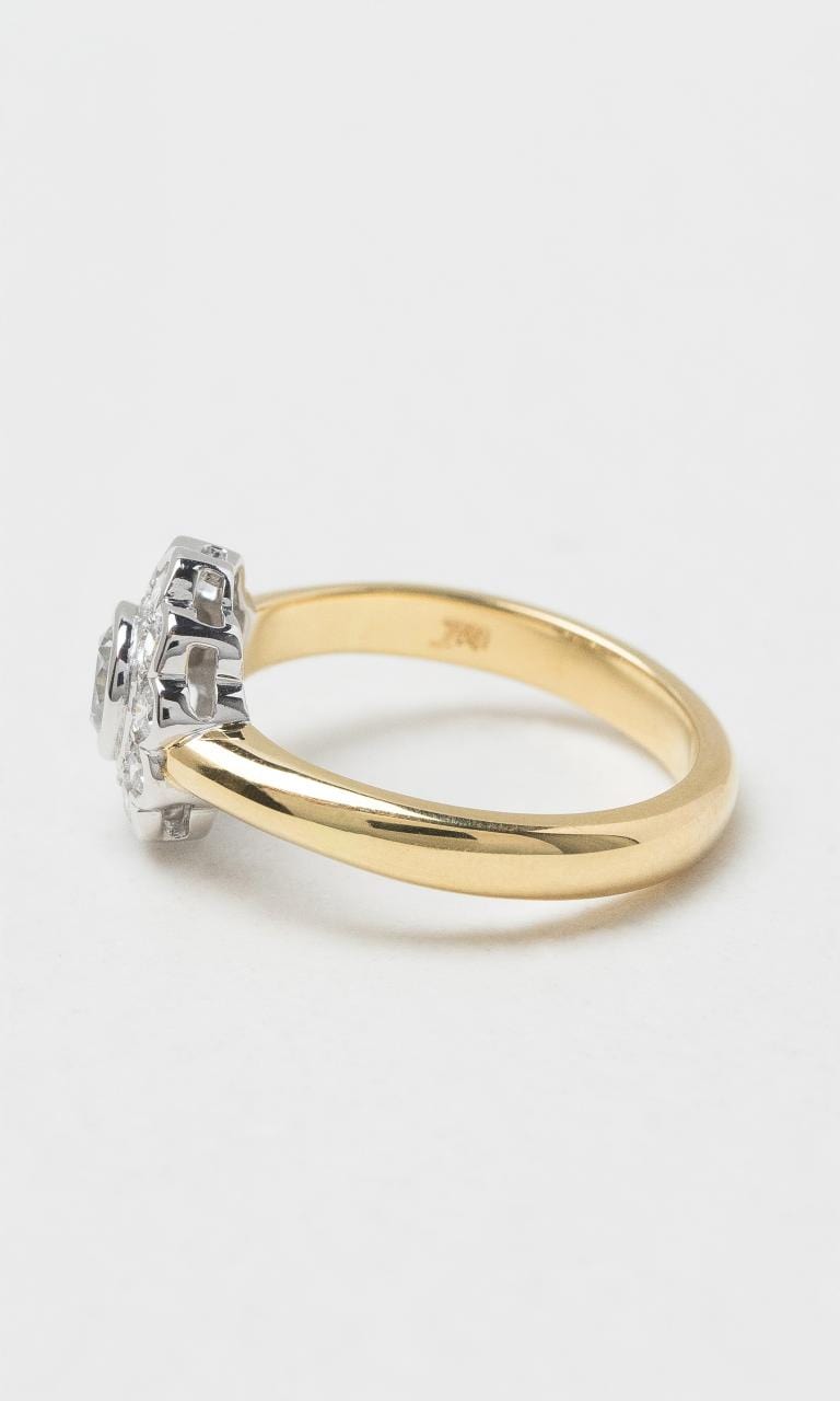 2024 © Hogans Family Jewellers 18K YWG Flower Halo Style Ring