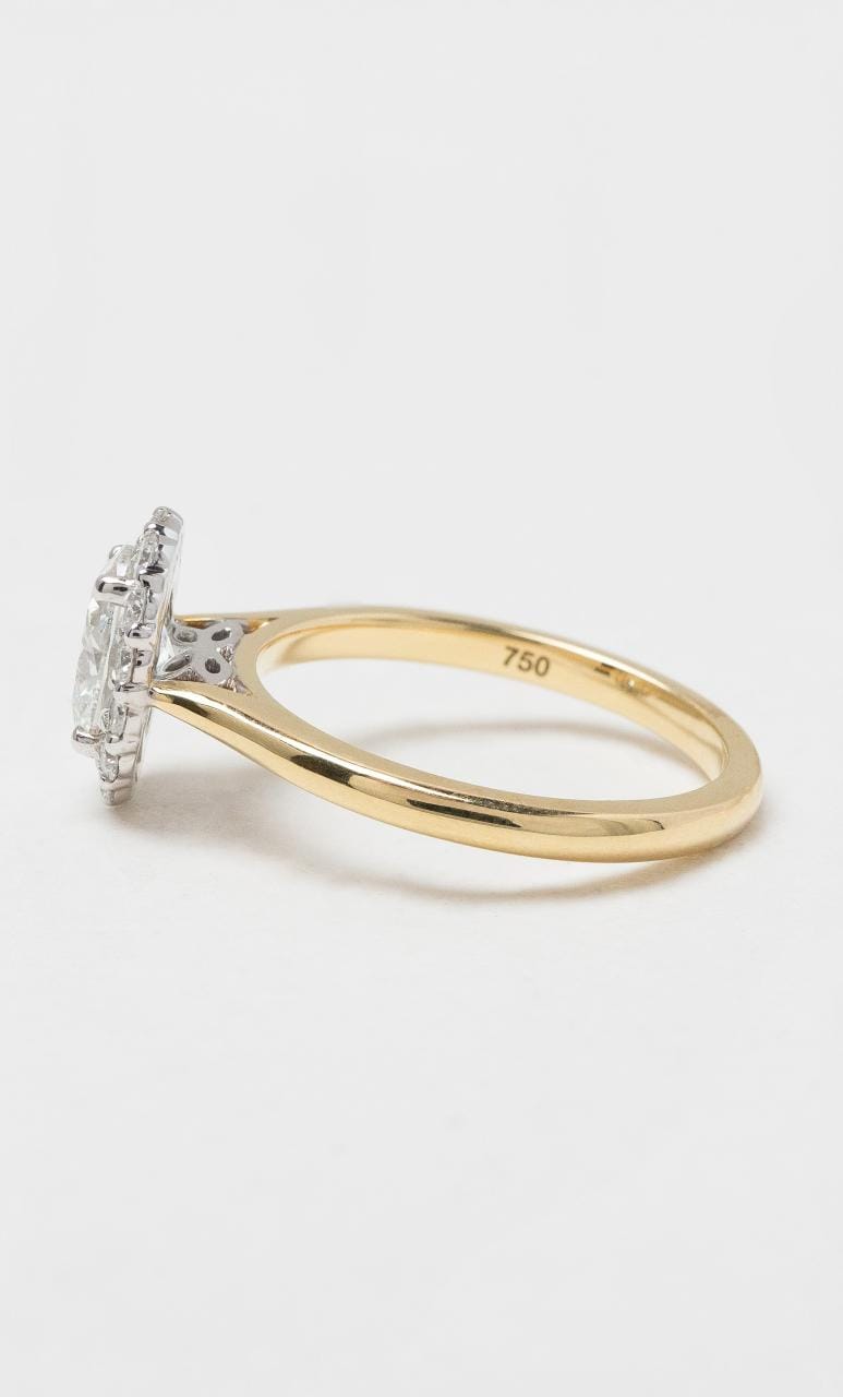 2024 © Hogans Family Jewellers 18K YWG Oval Cut Diamond Halo Style Ring