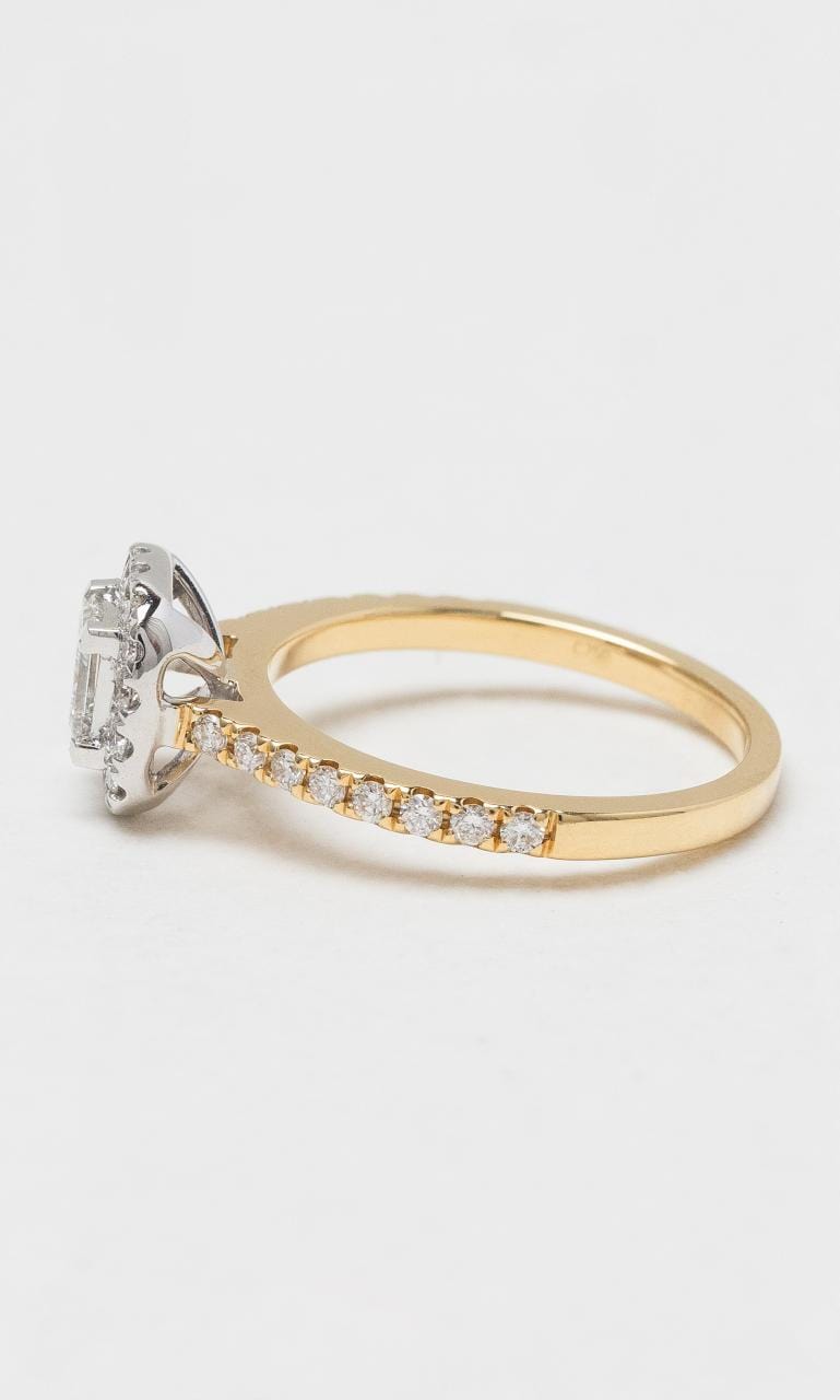 2024 © Hogans Family Jewellers 18K YWG Princess Cut Diamond Halo Ring